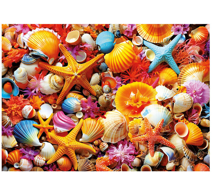 Educa Shell Collage Puzzle 1000pcs