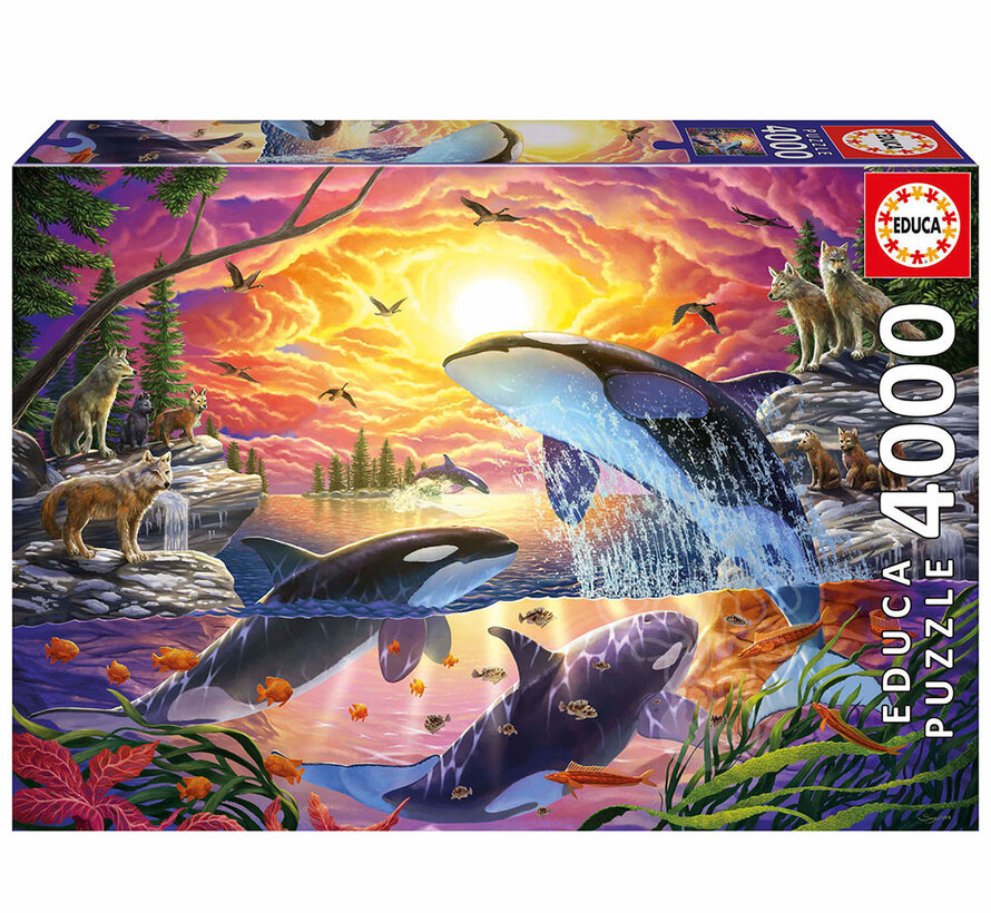 Educa Orcas and Wolves Puzzle 4000pcs