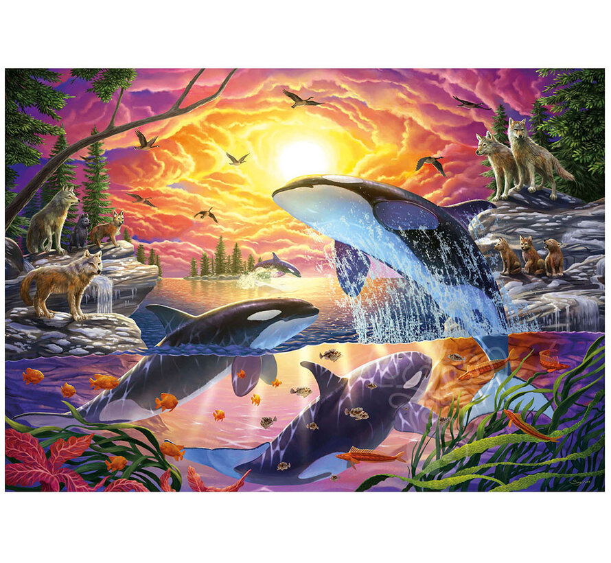 Educa Orcas and Wolves Puzzle 4000pcs