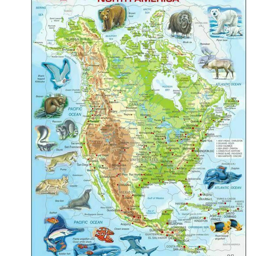 Larsen North American Map with Animals Tray Puzzle 66pcs
