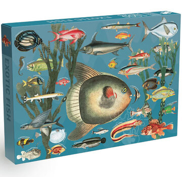 Penny Puzzle Penny Puzzle Exotic Fish Puzzle 1000pcs