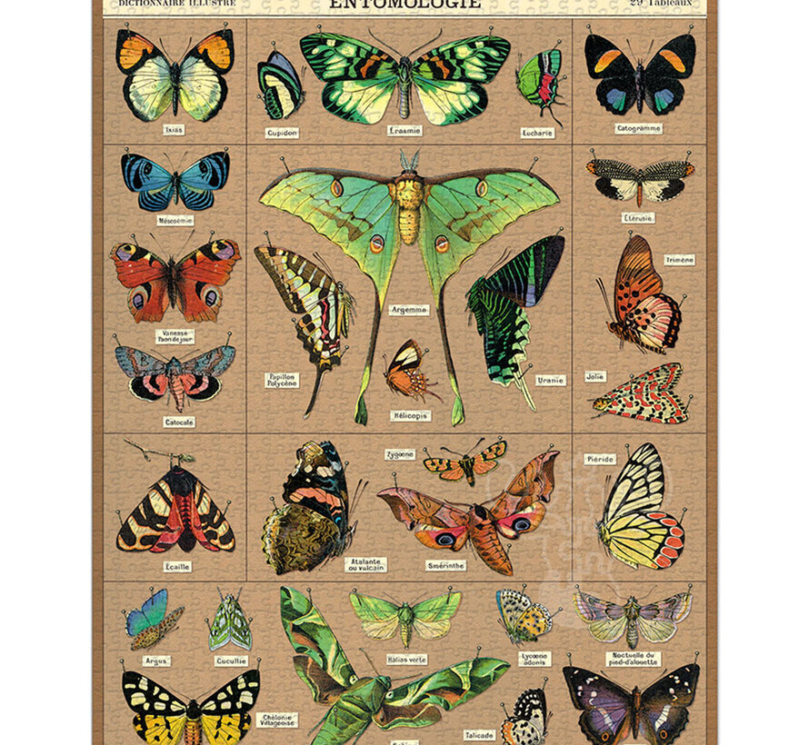 Cavallini Vintage: Entomology Puzzle 1000pcs