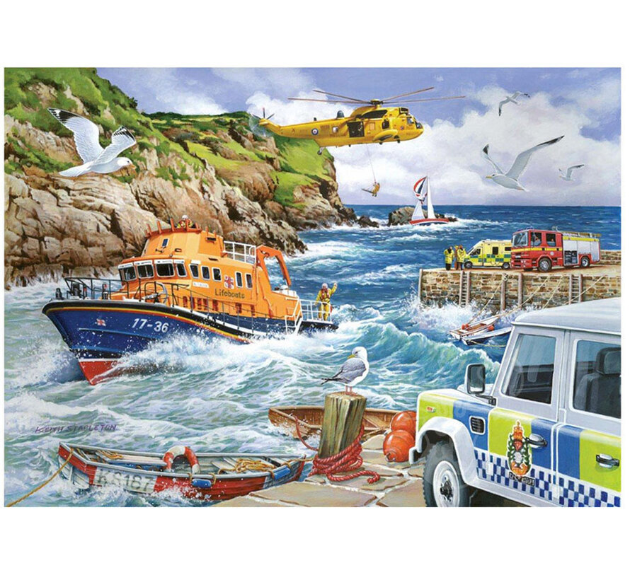 House of Puzzles Rescue Puzzle 1000pcs