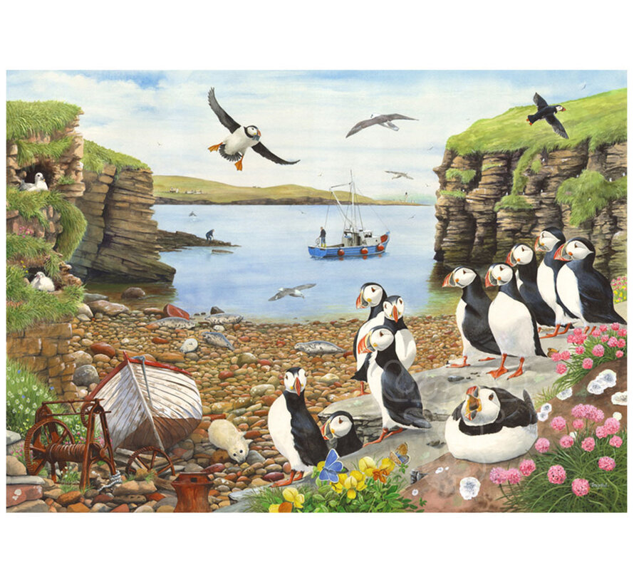 House of Puzzles Puffin Parade Puzzle Big 500pcs