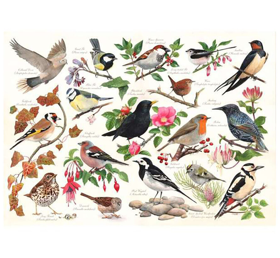 House of Puzzles Birds In My Garden Puzzle 1000pcs