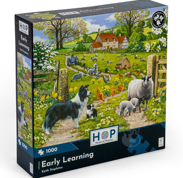 House of Puzzles House of Puzzles Early Learning Puzzle 1000pcs