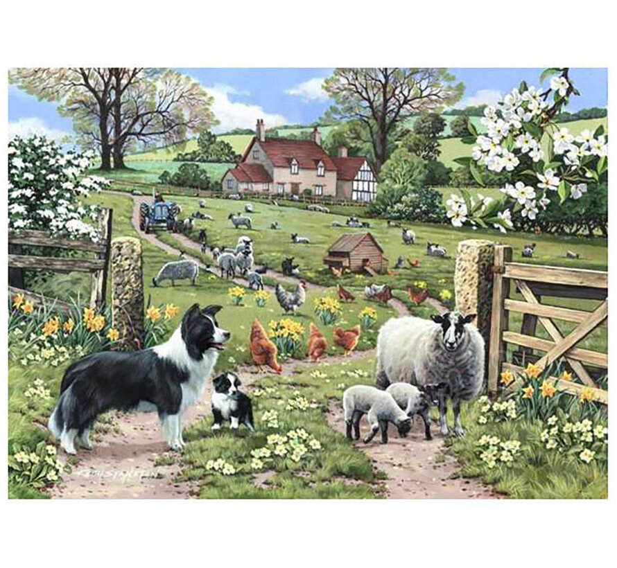 House of Puzzles Early Learning Puzzle 1000pcs