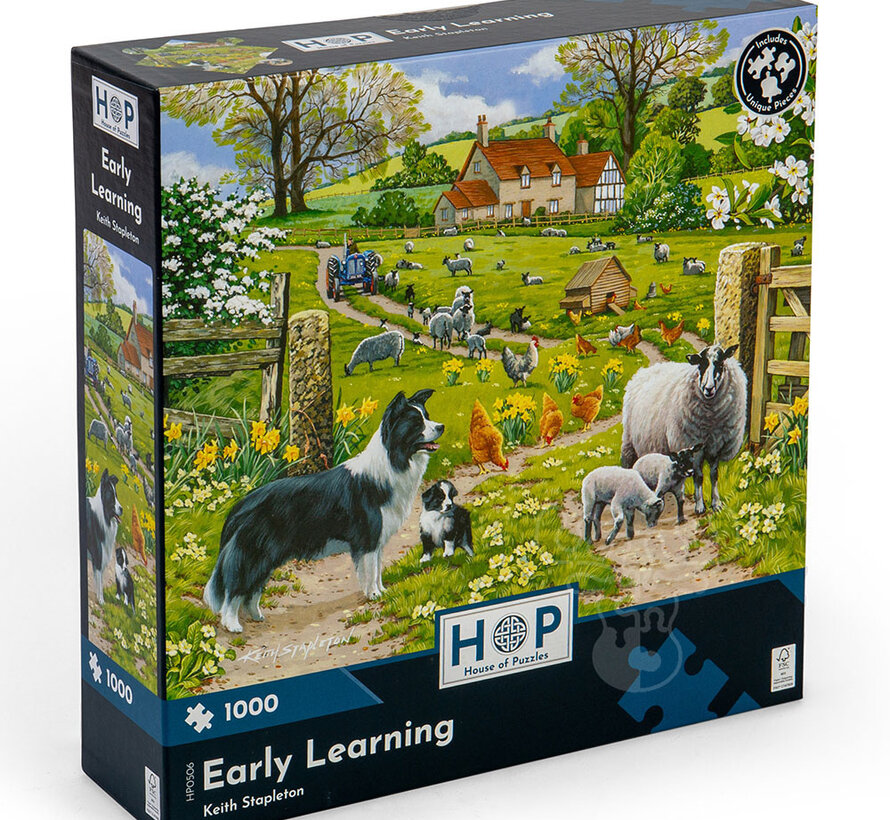 House of Puzzles Early Learning Puzzle 1000pcs
