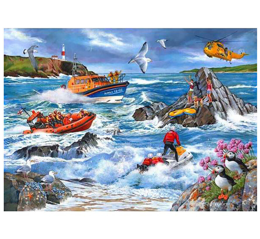 House of Puzzles Against The Tide Puzzle 1000pcs
