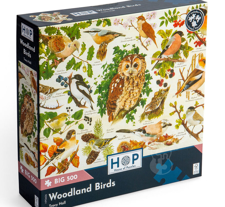 House of Puzzles Woodland Birds Puzzle Big 500pcs