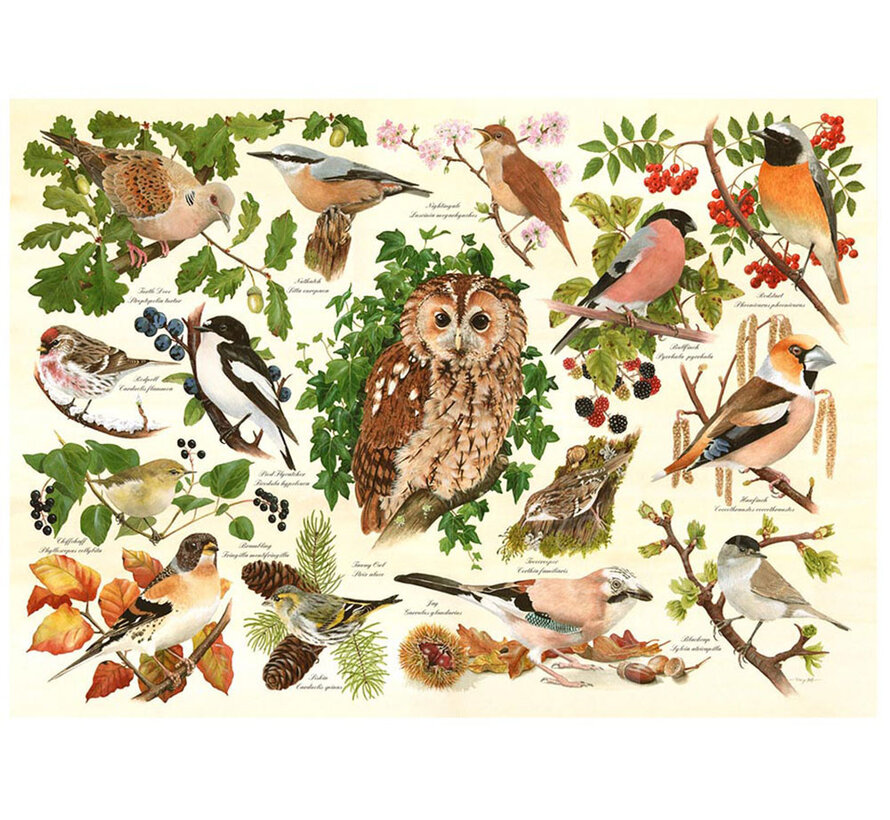 House of Puzzles Woodland Birds Puzzle Big 500pcs