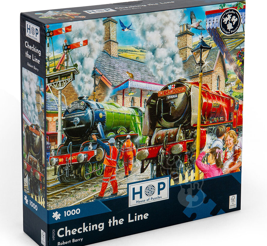 House of Puzzles Checking the Line Puzzle 1000pcs