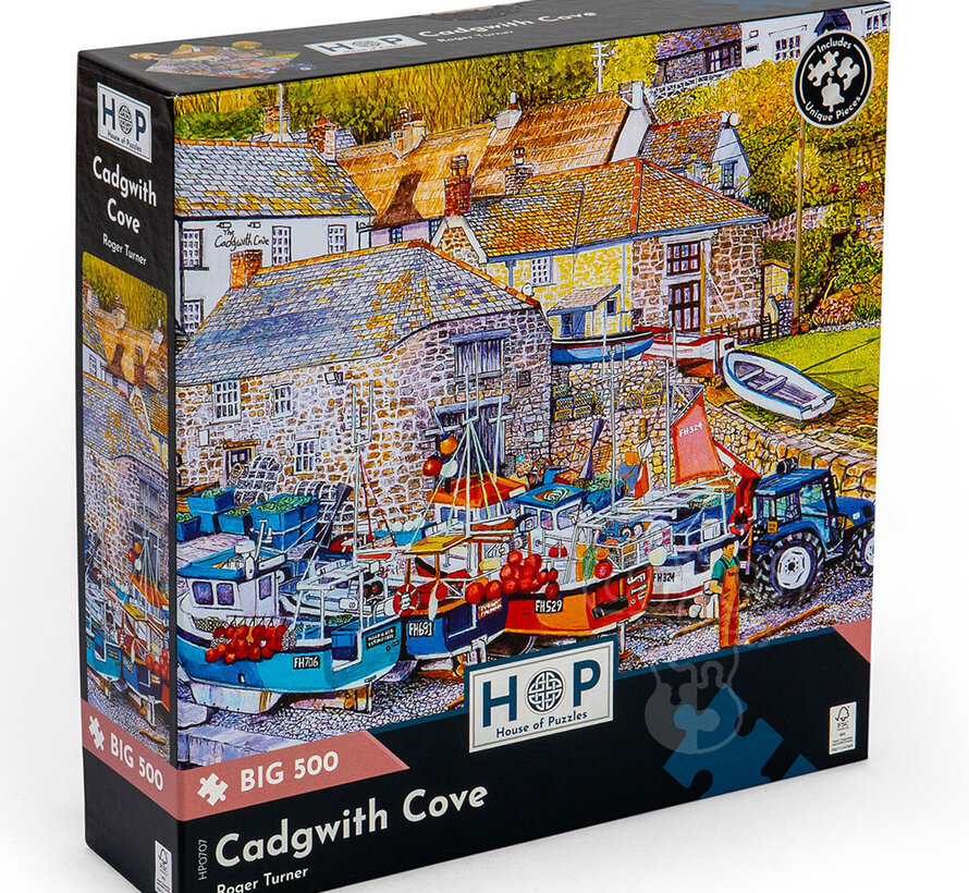 House of Puzzles Cadgwith Cove Puzzle Big 500pcs