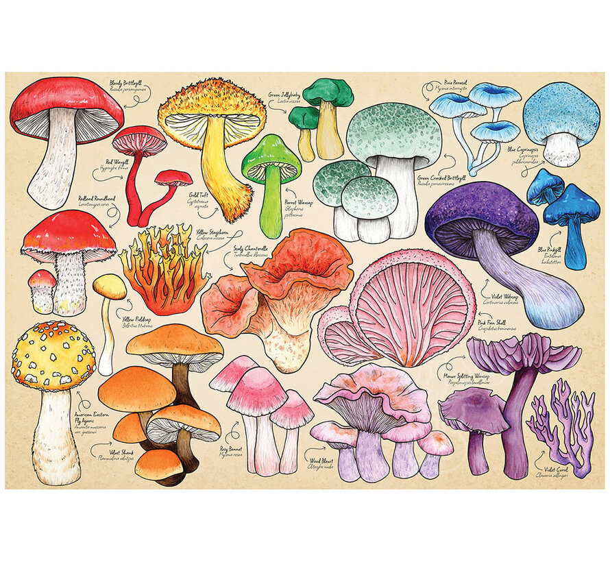 House of Puzzles Mushroom Mania Puzzle 1000pcs
