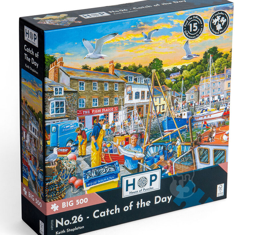 House of Puzzles Catch of the Day Spot the Difference Puzzle Big 500pcs