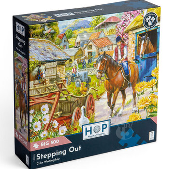 House of Puzzles House of Puzzles Stepping Out Puzzle Big 500pcs
