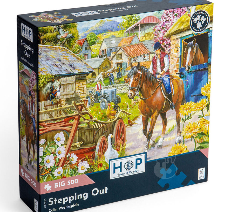 House of Puzzles Stepping Out Puzzle Big 500pcs