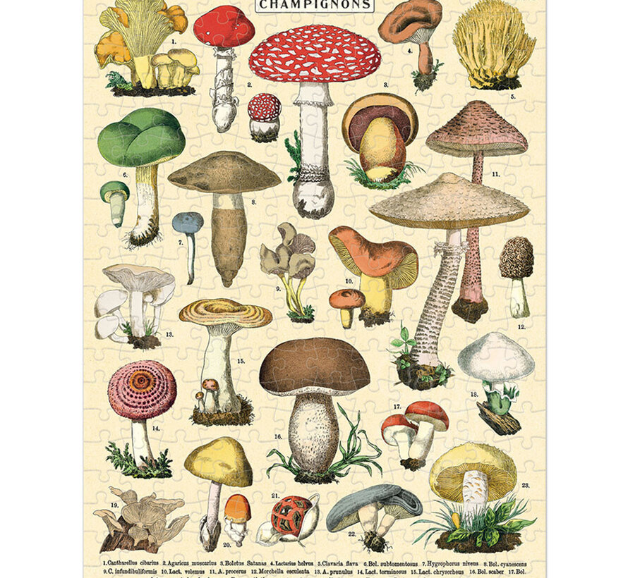 Cavallini Vintage: Mushroom Mini Puzzle 240pcs
