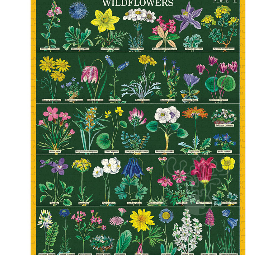 Cavallini Vintage: Wildflowers 2 Puzzle 1000pcs