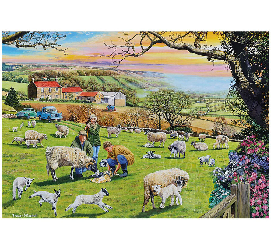 Gibsons Call the Vet Puzzle 4 x 500pcs