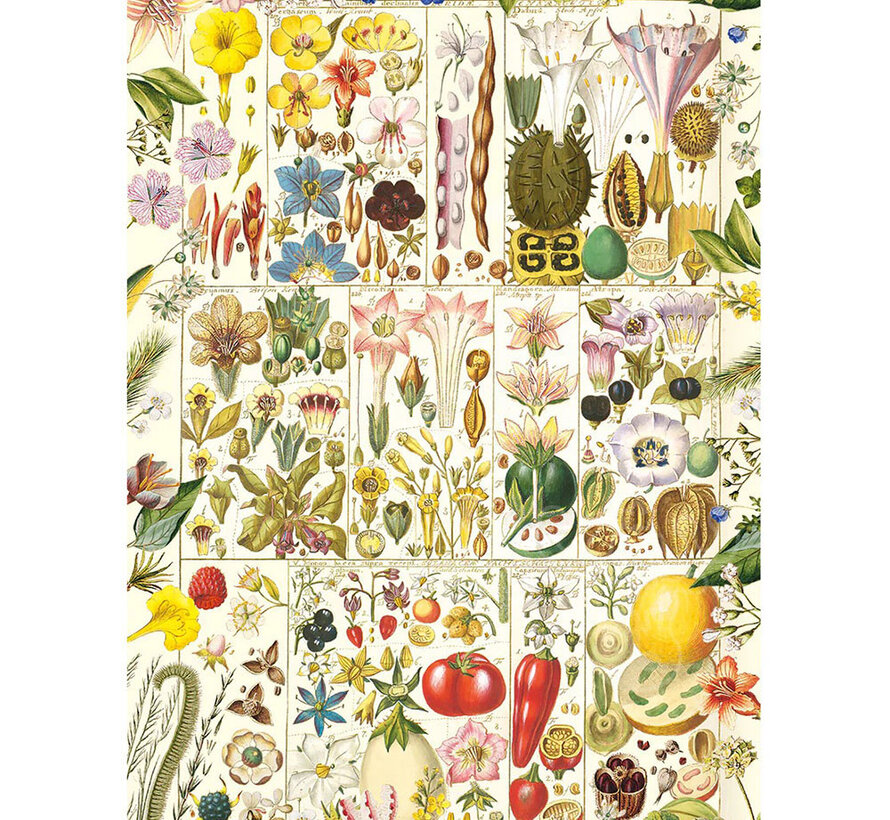 Gibsons RHS: Botanical Bliss Puzzle 1000pcs
