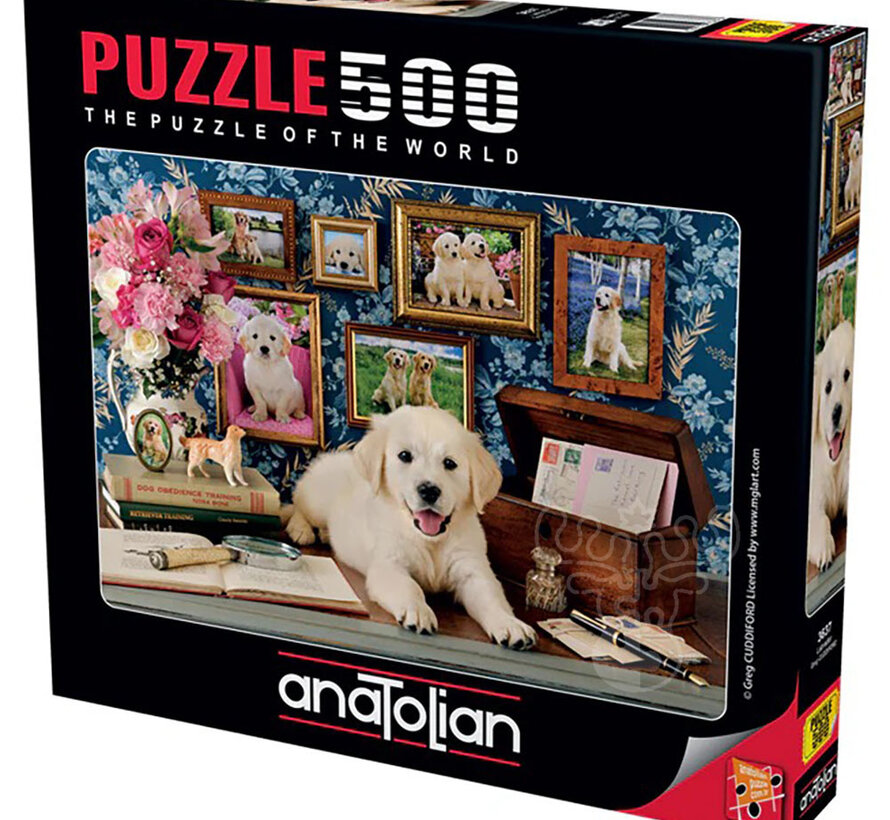 Anatolian Labrador Puzzle 500pcs