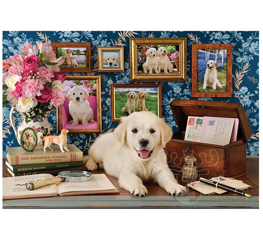Anatolian Labrador Puzzle 500pcs
