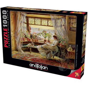 Anatolian Anatolian Reading By The Window Puzzle 1000pcs