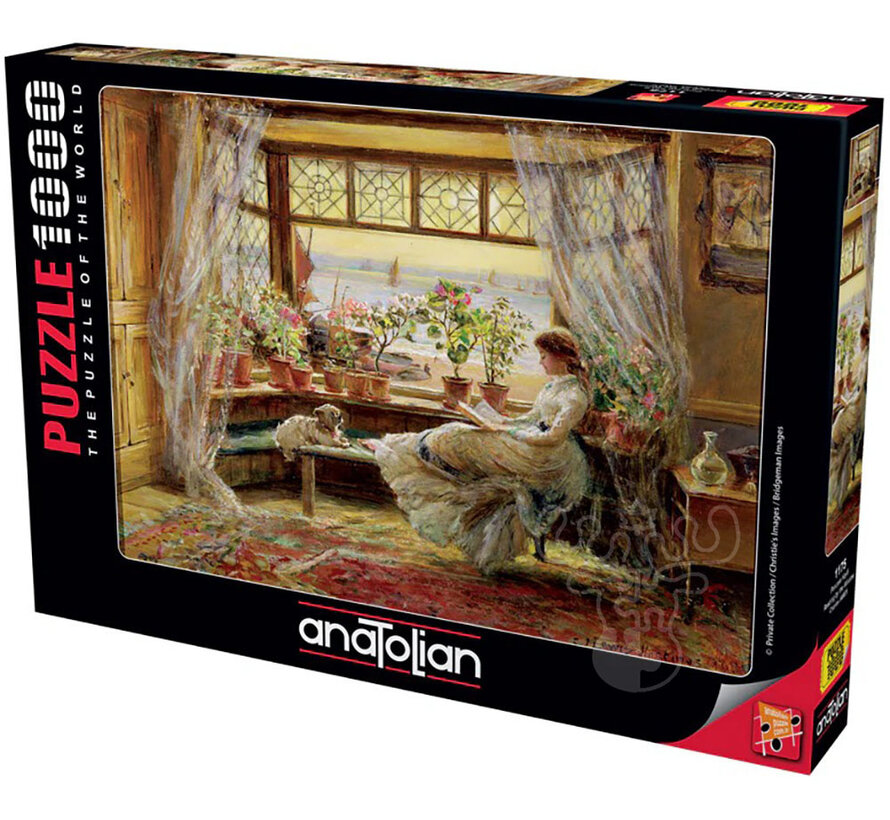 Anatolian Reading By The Window Puzzle 1000pcs