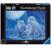 Ravensburger Ravensburger Owls in the Moonlight Glow in the Dark Puzzle 500pcs