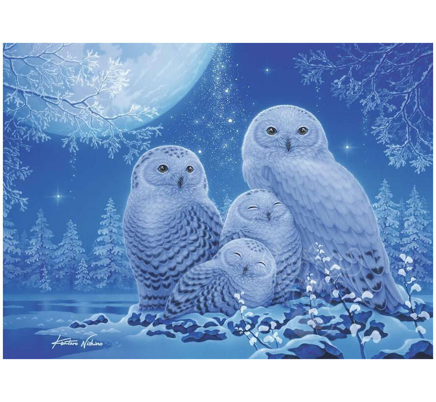 Ravensburger Owls in the Moonlight Glow in the Dark Puzzle 500pcs
