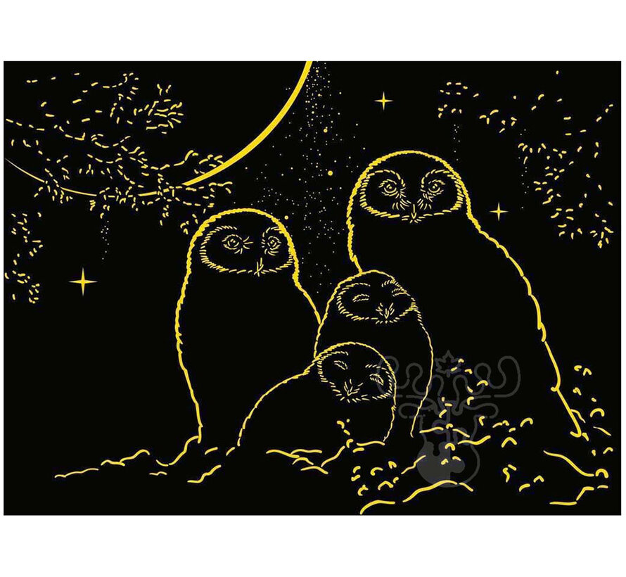 Ravensburger Owls in the Moonlight Glow in the Dark Puzzle 500pcs