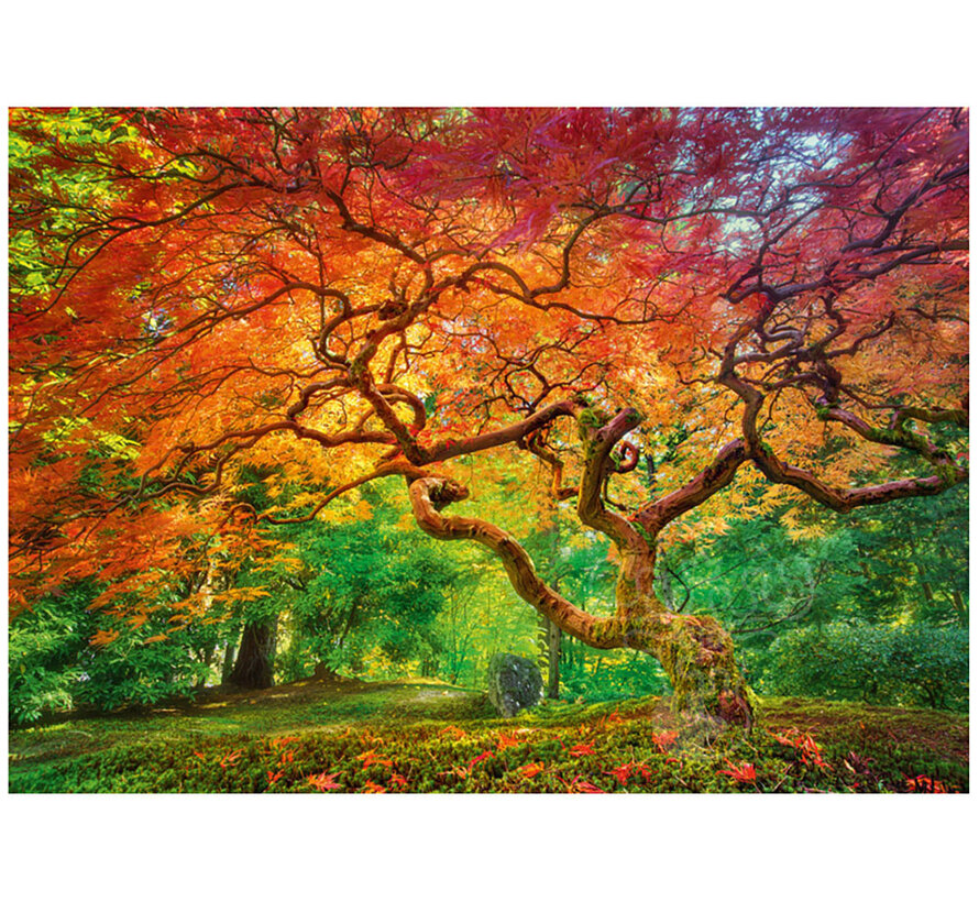 CherryPazzi Aterial Spray Puzzle 1000pcs