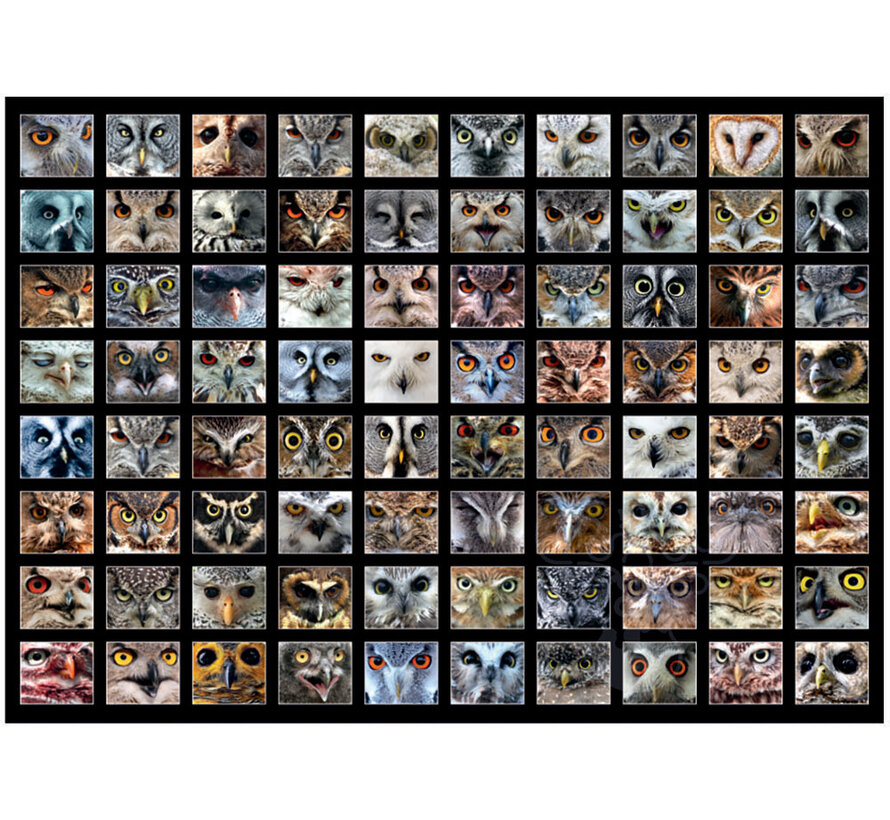 FINAL SALE Roovi/D-Toys Collage - Animal Faces Owls Puzzle 1000pcs