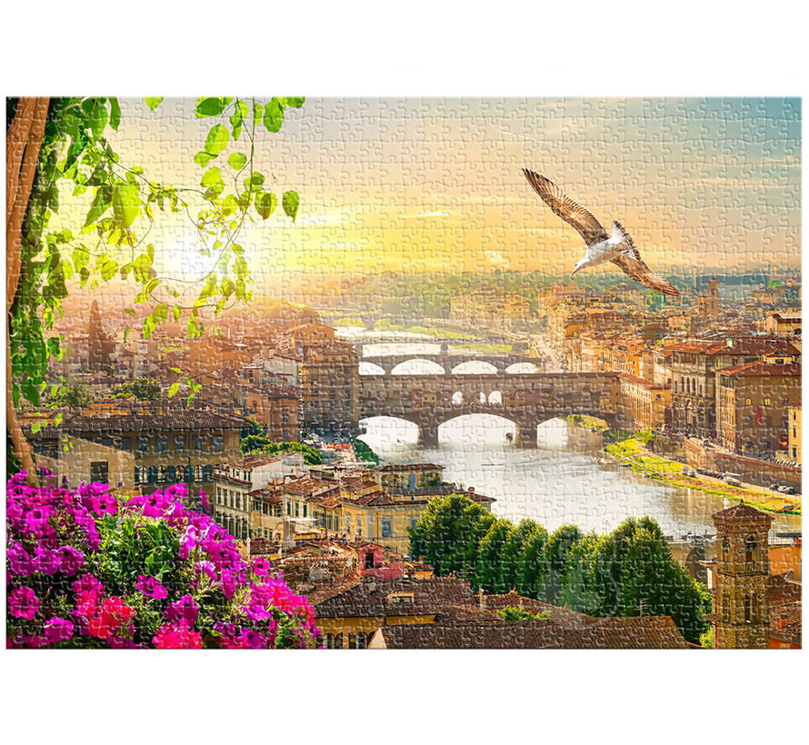 FINAL SALE Roovi/D-Toys Florence, Italy Puzzle 1000pcs