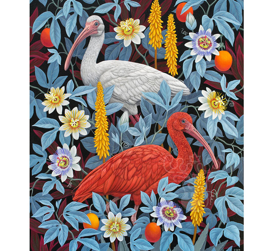 Pomegranate Romanenko, Vasilisa: Ibises Puzzle 1000pcs