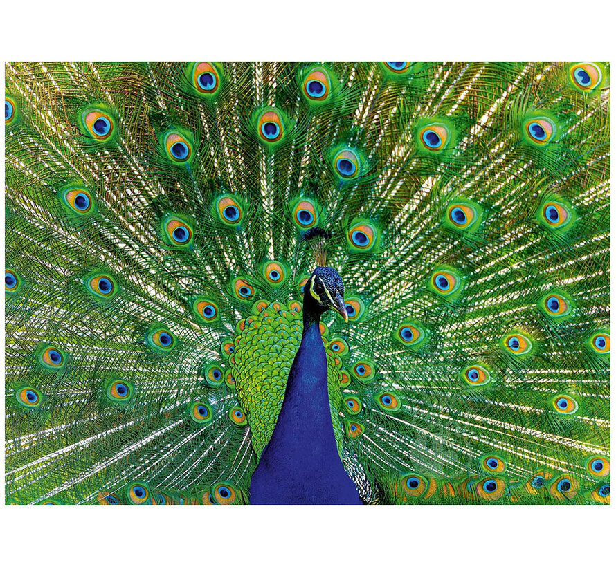 Ravensburger Peacock Puzzle 500pcs