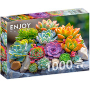 ENJOY Puzzle Enjoy Succulents Puzzle 1000pcs