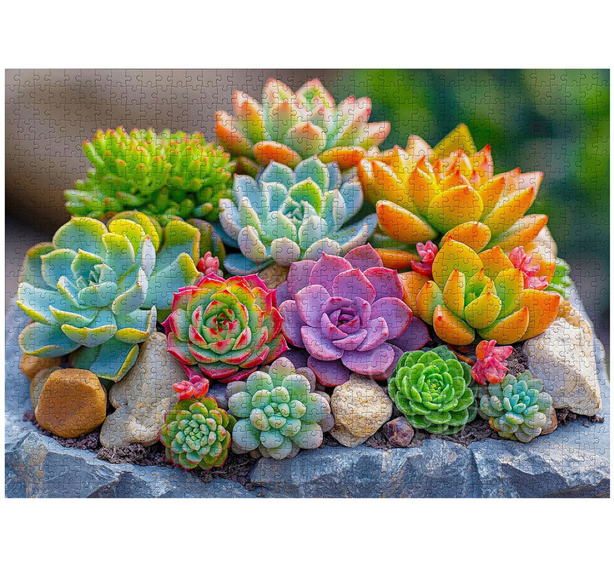 Enjoy Succulents Puzzle 1000pcs