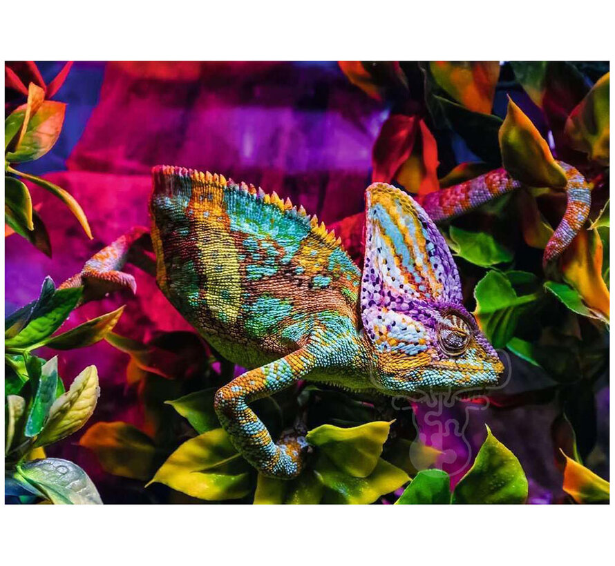 Ravensburger Chameleon Puzzle 500pcs