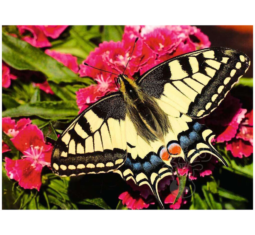 Ravensburger Butterfly Puzzle 500pcs