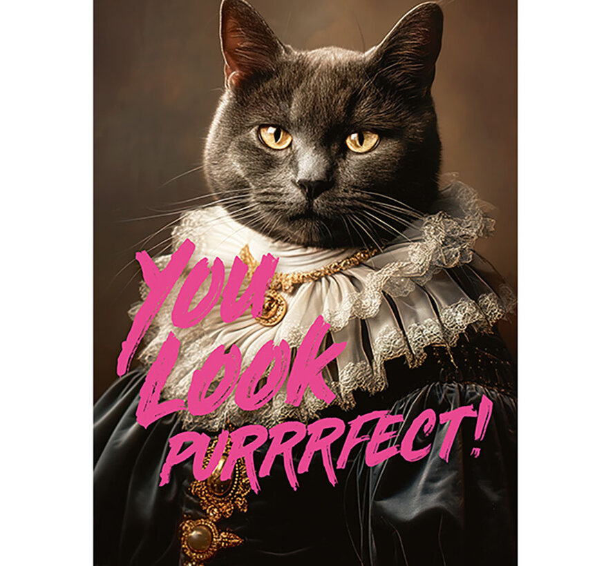Piatnik You Look Purrrfect! Puzzle 1000pcs
