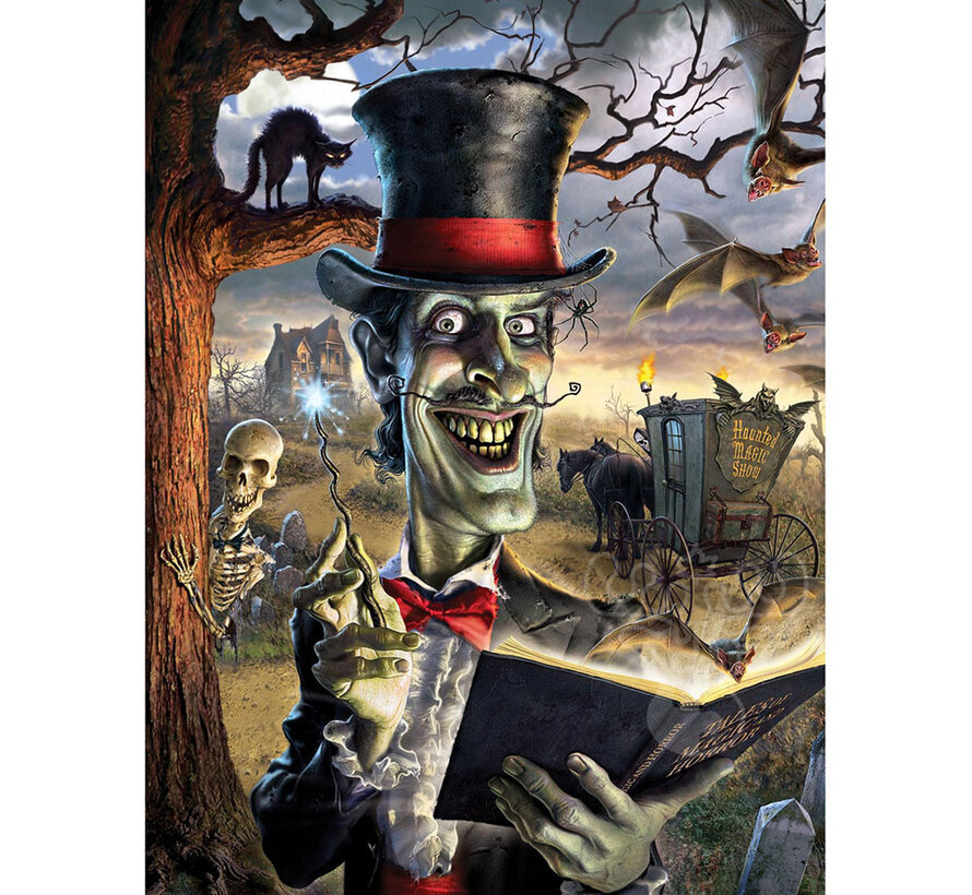 Art Puzzle The Wizard Puzzle 500pcs