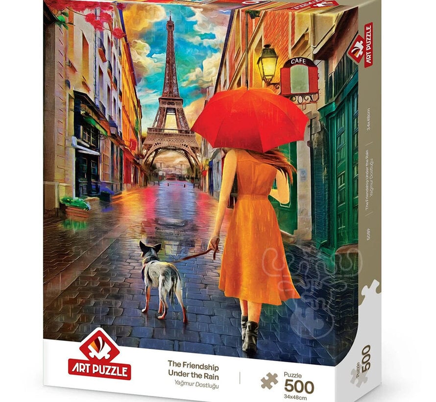 Art Puzzle The Friendship Under The Rain Puzzle 500pcs