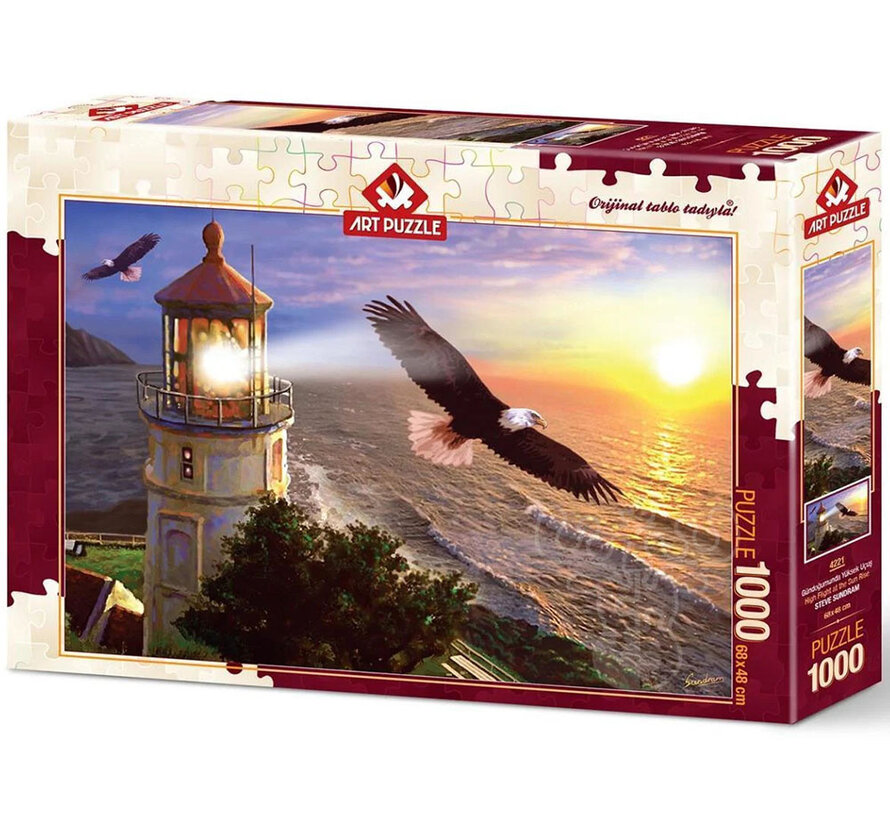 Art Puzzle High Flight At The Sun Rise Puzzle 1000pcs