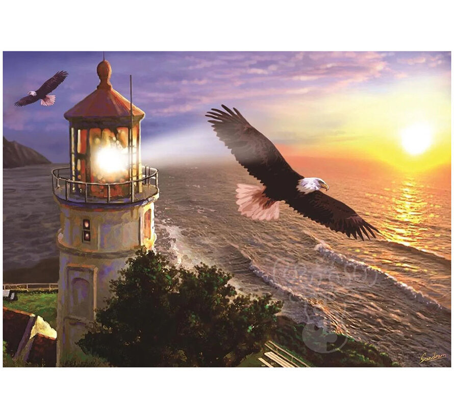 Art Puzzle High Flight At The Sun Rise Puzzle 1000pcs