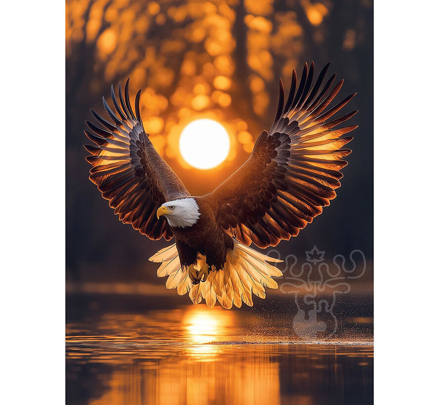 Art Puzzle Wings of the Sun Puzzle 1000pcs