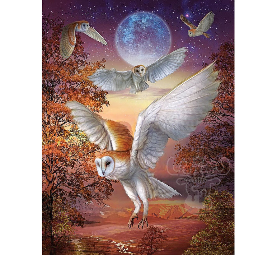 Art Puzzle Moonlight Owls Puzzle 1000pcs