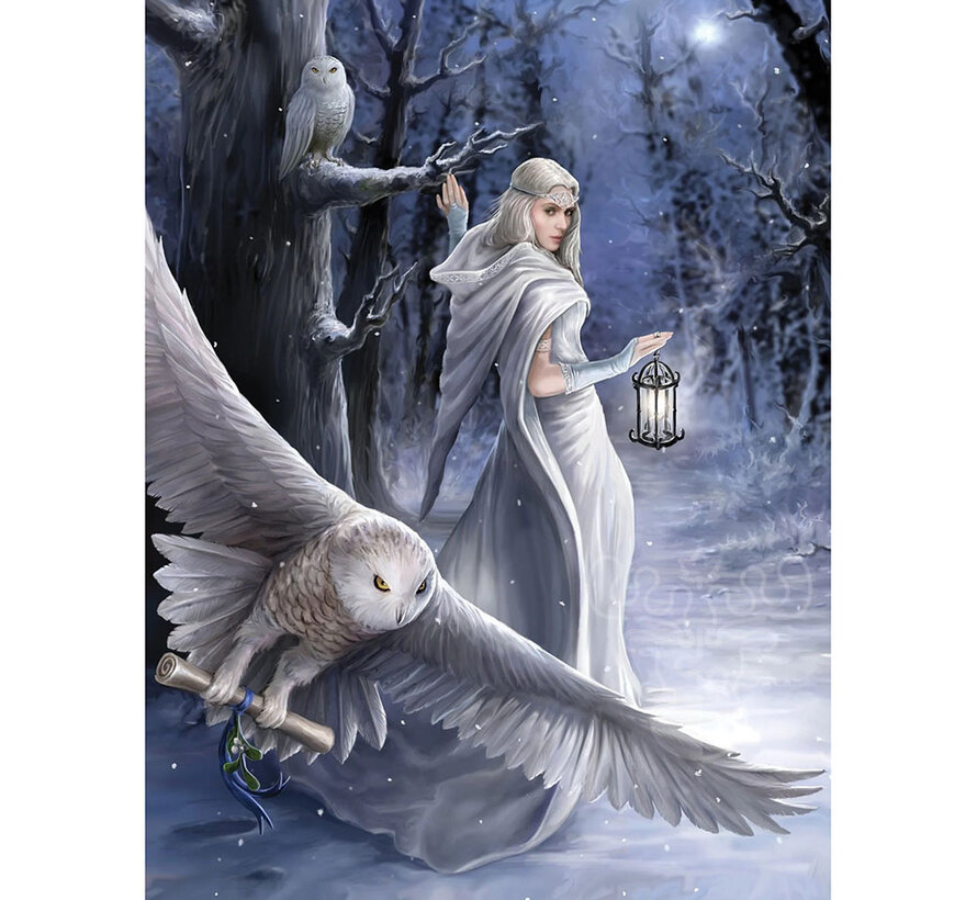 Art Puzzle Midnight Messenger Puzzle 1000pcs