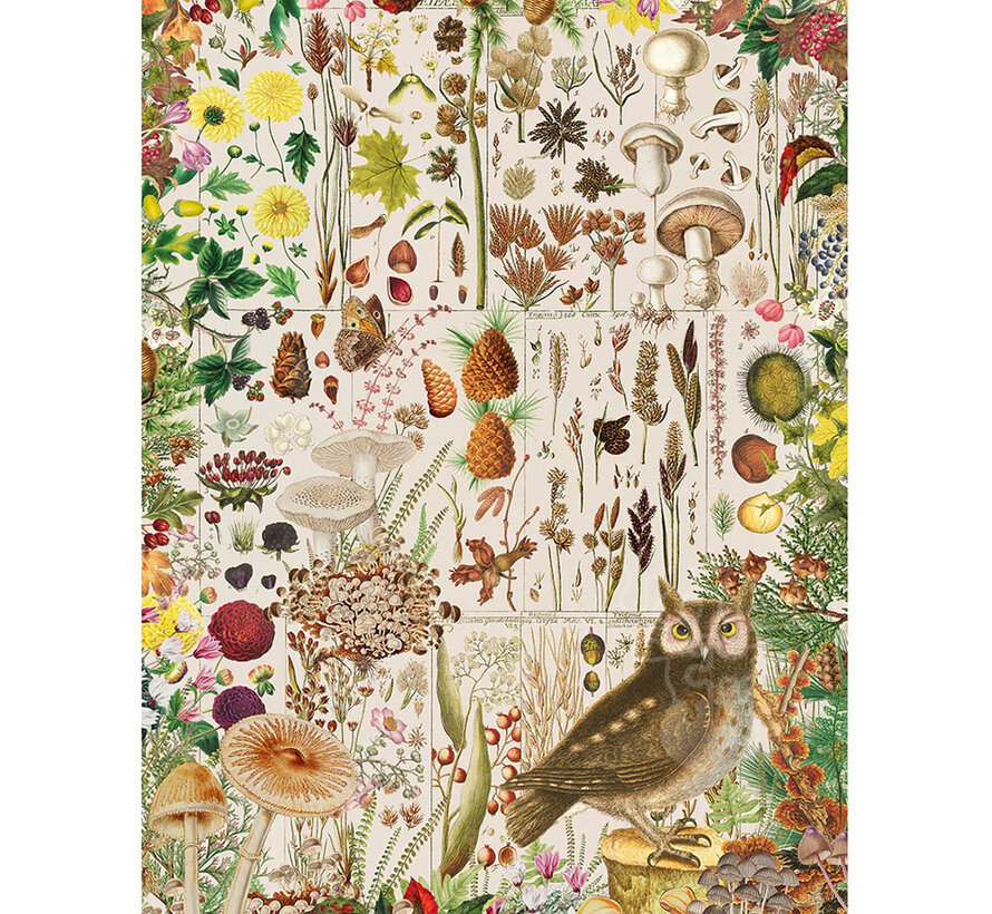 Gibsons RHS: Fall Flora Puzzle 1000pcs